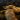 snake-8349951_1920